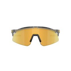 Oakley Hydra Grey