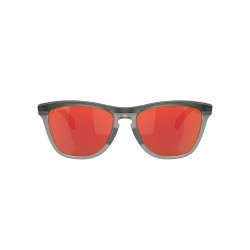 Oakley Frogskins Matte Grey