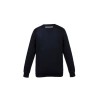 Alwaysgas Solid Blue Sweatshirt