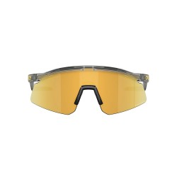 Oakley Hydra Grey