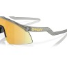 Oakley Hydra Grey