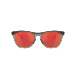 Oakley Frogskins Matte Grey