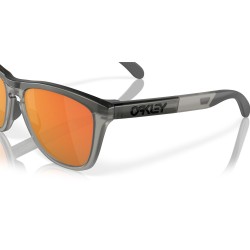 Oakley Frogskins Matte Grey