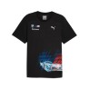 Camiseta BMW Race Tee USA Gris