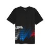 Camiseta BMW Race Tee USA Gris