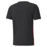 Camiseta Puma Hombre IndividualRISE Roja