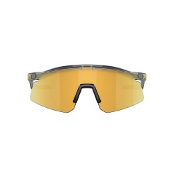 Oakley Hydra Grey