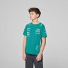 Camiseta Infantil Fernando Alonso Aston Martin F1 Team