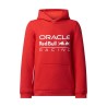 Red Bull Racing Hoodie