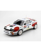 WRC Rally and Dakar Rally cars at 1:18 or 1:43 scale - AFB Motorsport