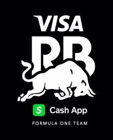 Visa Cash App RB